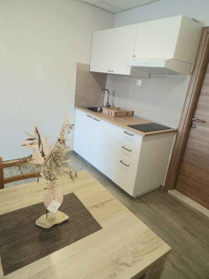 Apartment Ana